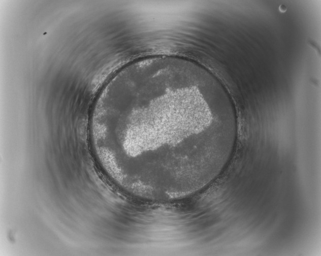 X0000103900434200810031152