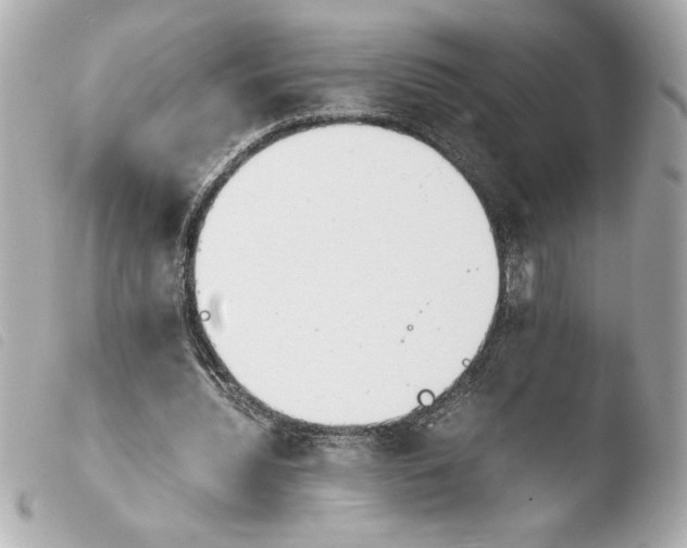 X0000103900436200810031152