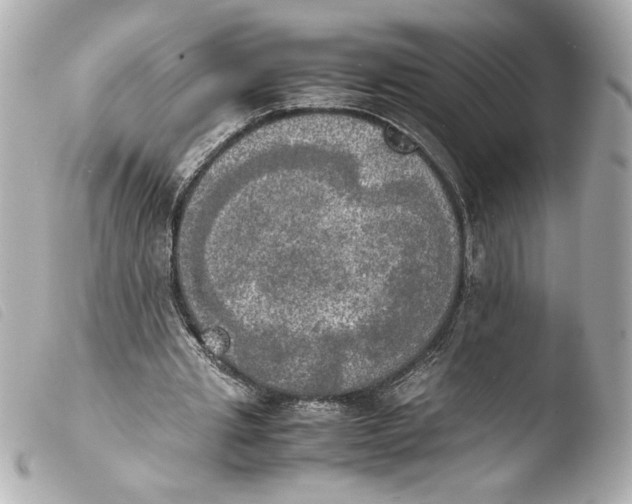 X0000103900437200810031152