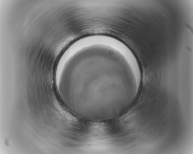 X0000103900438200810031152