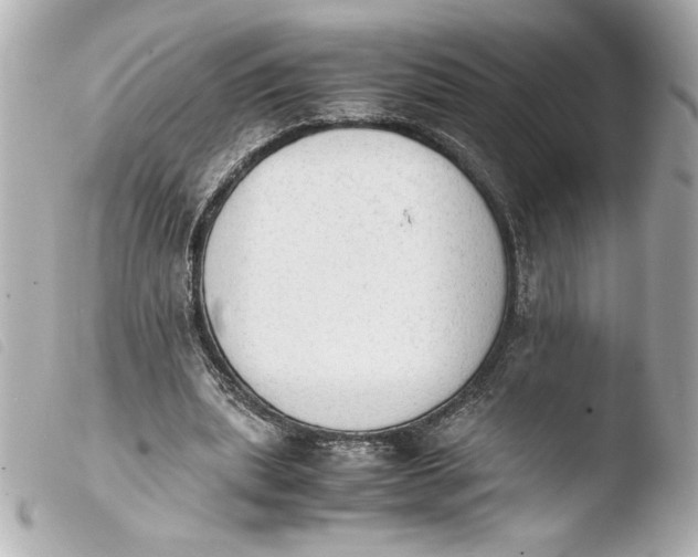 X0000103900439200810031153