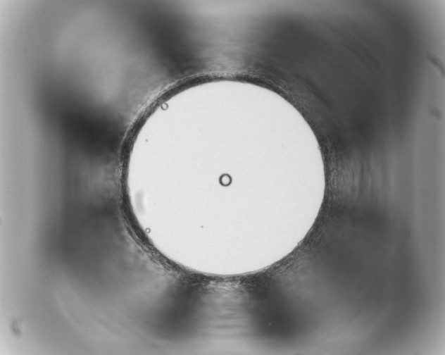 X0000103900440200810031153