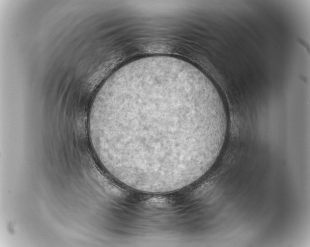 X0000103900441200810031153