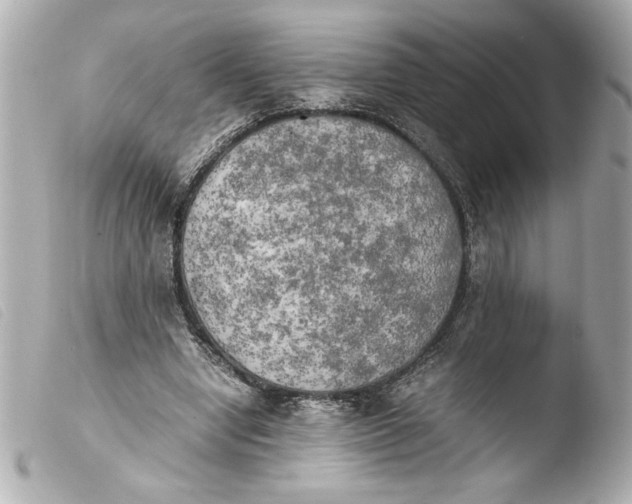 X0000103900442200810031153