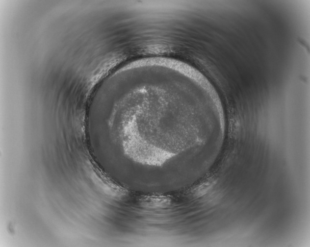 X0000103900443200810031153