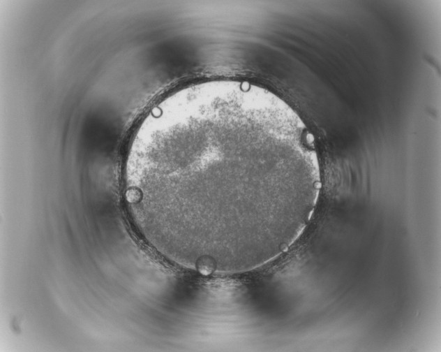 X0000103900444200810031153