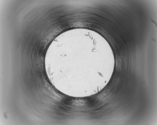 X0000103900445200810031153