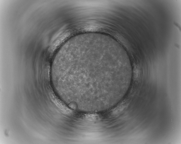 X0000103900446200810031153