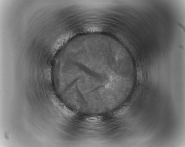 X0000103900447200810031153