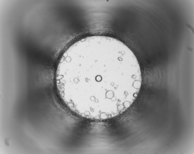 X0000103900448200810031153