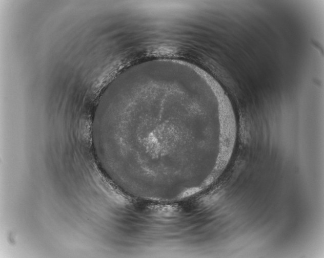 X0000103900449200810031153