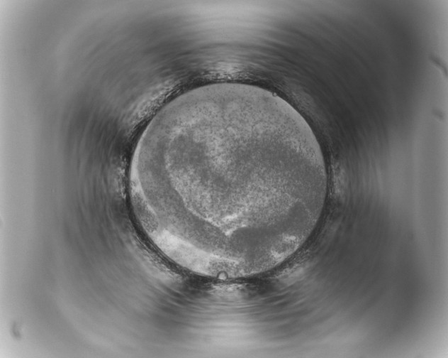 X0000103900450200810031153