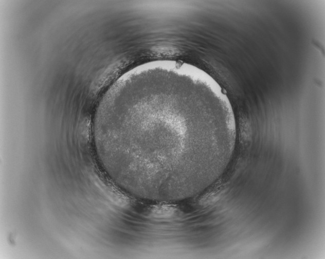 X0000103900451200810031153