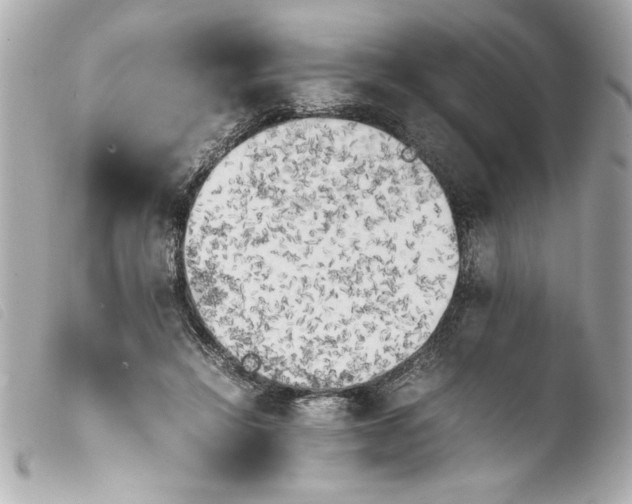 X0000103900452200810031153