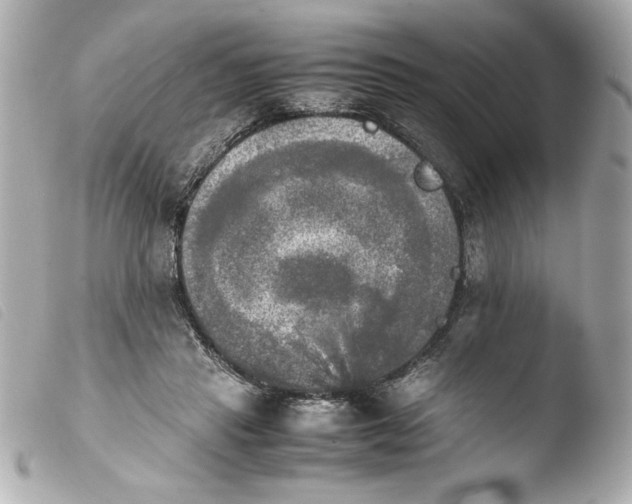 X0000103900453200810031153