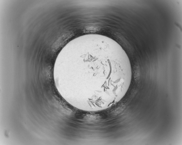 X0000103900455200810031153