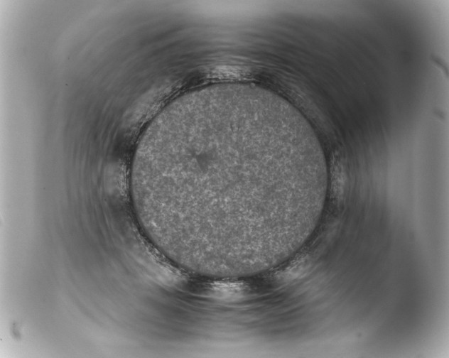 X0000103900457200810031153