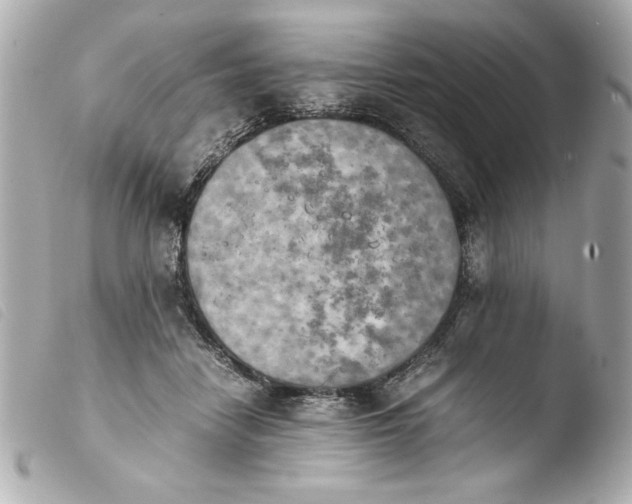 X0000103900458200810031153