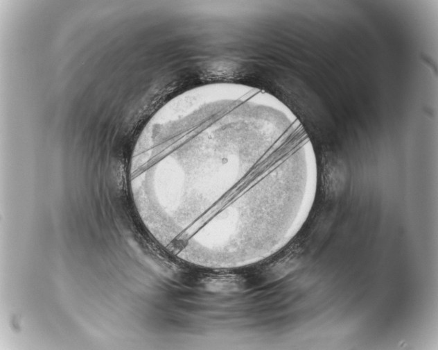 X0000103900459200810031153