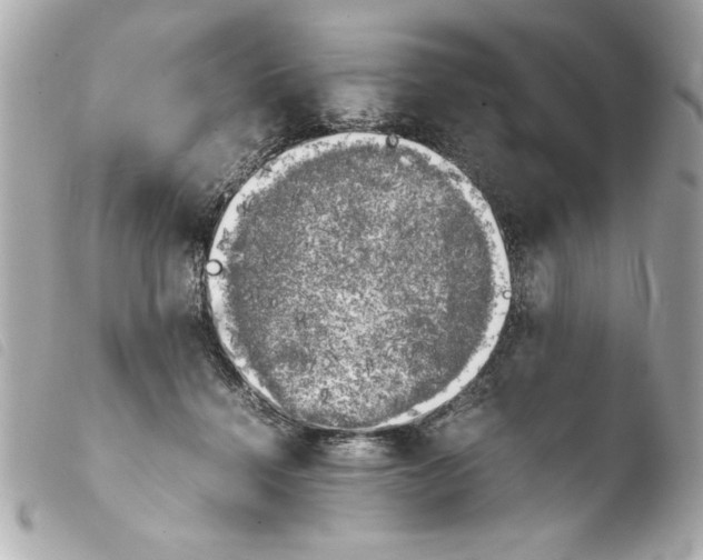 X0000103900460200810031153