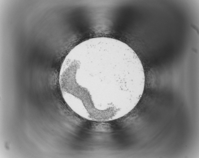 X0000103900463200810031153