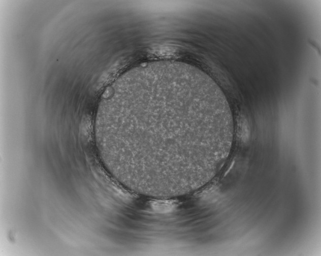 X0000103900465200810031153