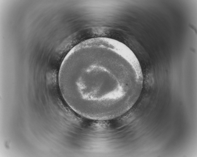 X0000103900466200810031153