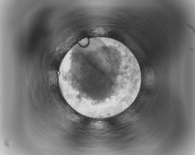 X0000103900467200810031153