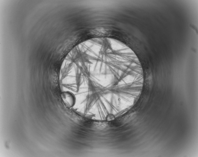 X0000103900469200810031153