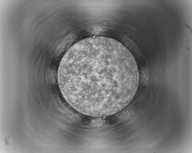 X0000103900470200810031153