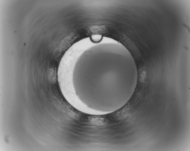 X0000103900471200810031153