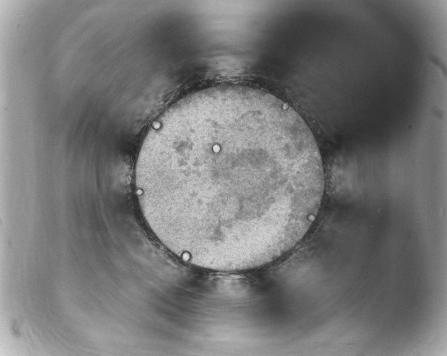 X0000103900472200810031153