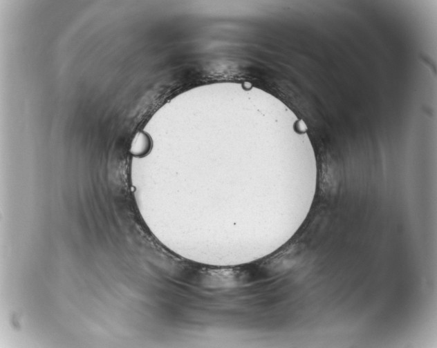 X0000103900473200810031153