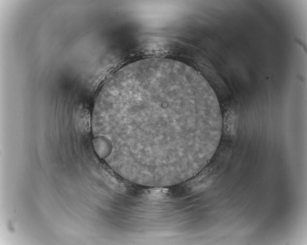 X0000103900474200810031153