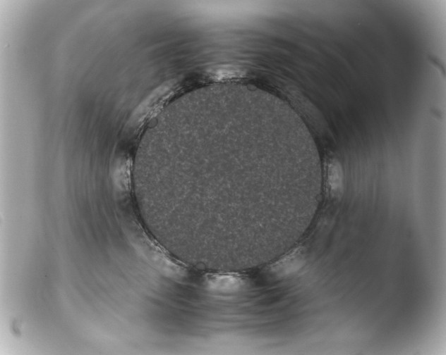 X0000103900475200810031153