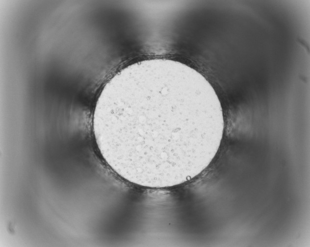 X0000103900476200810031153