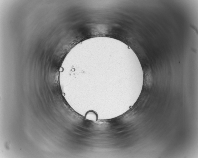 X0000103900477200810031153