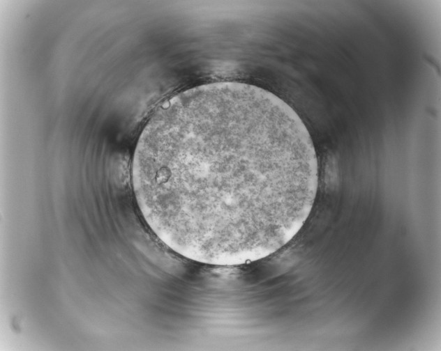 X0000103900478200810031153