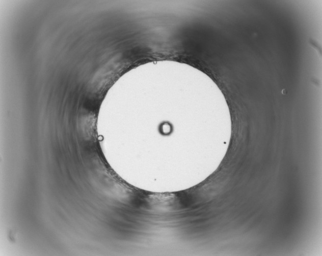 X0000103900480200810031153