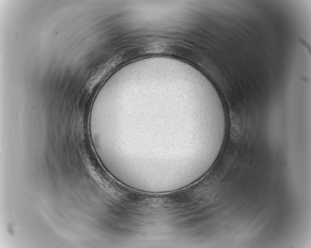 X0000103900482200810031152