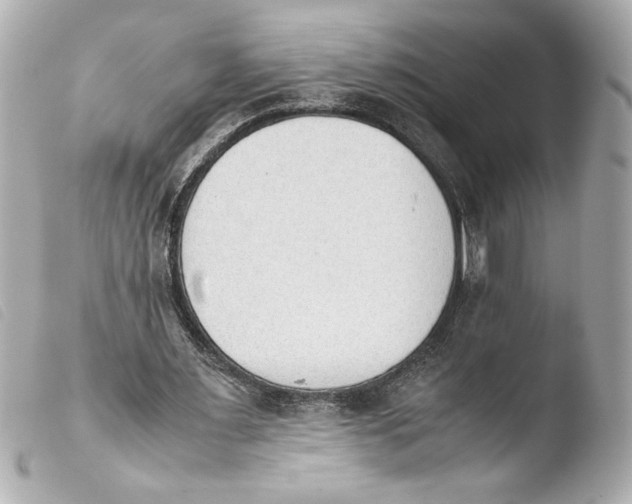 X0000103900483200810031152