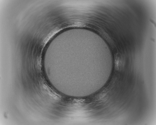 X0000103900484200810031152