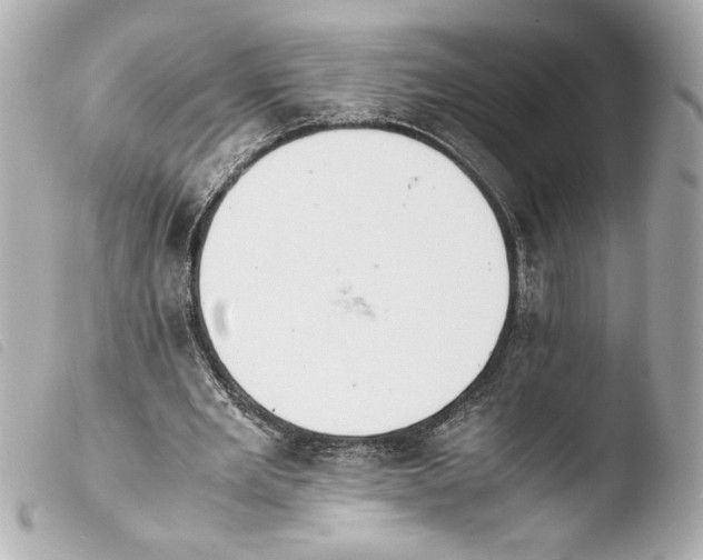 X0000103900485200810031152