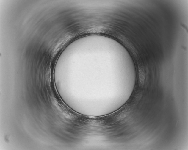 X0000103900486200810031152