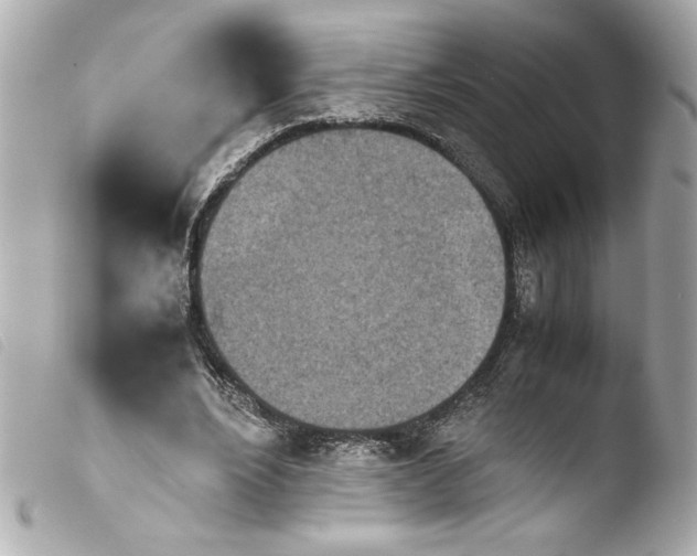 X0000103900488200810031152