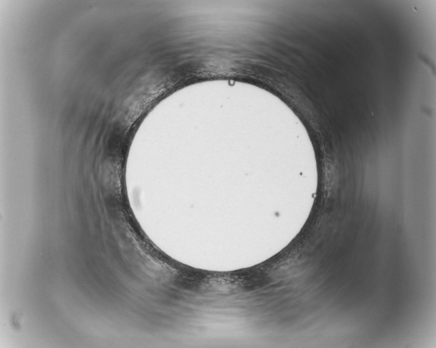 X0000103900489200810031152