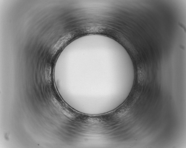 X0000103900490200810031152