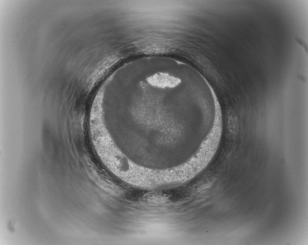 X0000103900491200810031152