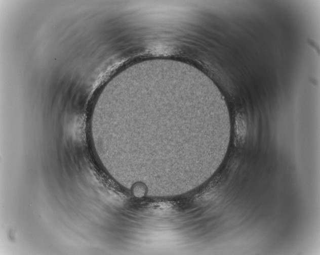 X0000103900492200810031152