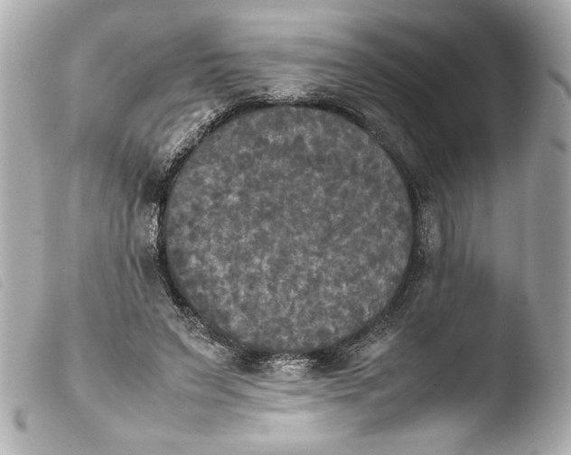 X0000103900495200810031152